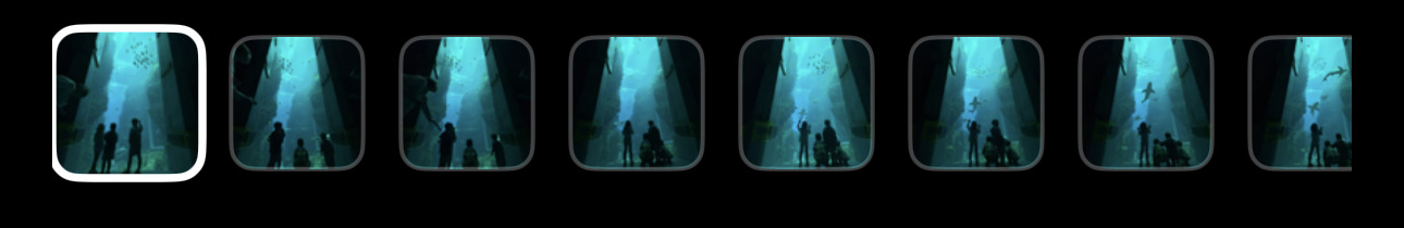A row of eight nearly identical photographs of the same aquarium tunnel, the first one outlined as the frame being kept.